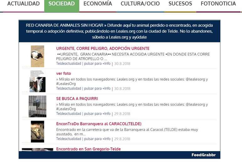 Carrusel con publicaciones de animales perdidos o encontrados  (Foto TA)